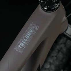 Santa Cruz Tallboy 5 C S -VTT Soldes Magasin Santa Cruz 192219250113 20123431 Tallboy 5 C S 4iB1G55TtrjFPE